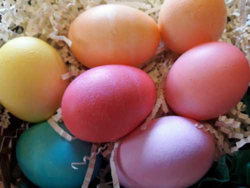 A colorful assortment of seven Easter eggs in pastel shades, nestled in shredded paper.