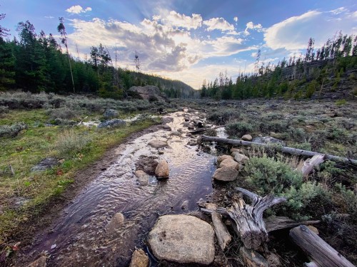 A serene landscape featuring a winding stream, rocky terrain, and trees under a cloudy sky.