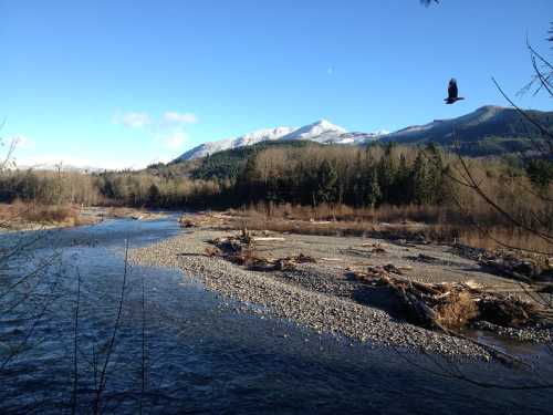 A serene river flows through a forested landscape, with snow-capped mountains in the background under a clear blue sky.