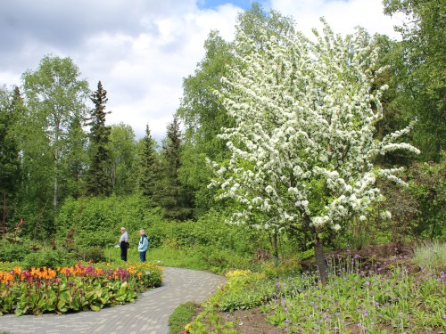Two people walk along a winding path in a lush garden filled with colorful flowers and a blooming white tree.