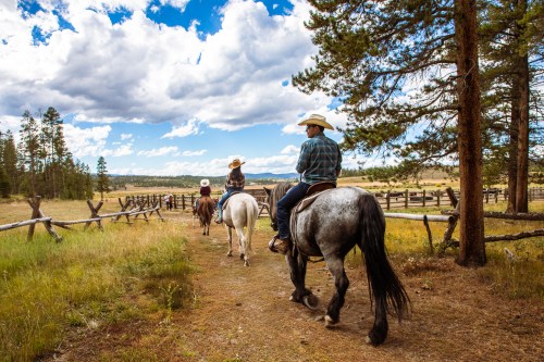 Two riders on horseback, wearing cowboy hats, trail through a grassy landscape under a blue sky with clouds.