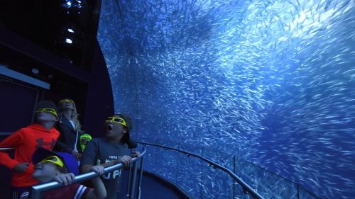 A group of children and adults wearing 3D glasses watch a swirling school of fish in an aquarium.
