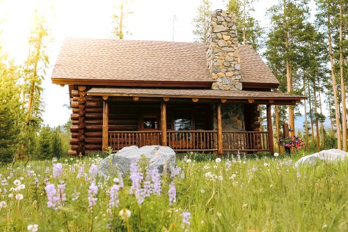 A rustic log cabin with a stone chimney, surrounded by wildflowers and tall trees in a serene natural setting.