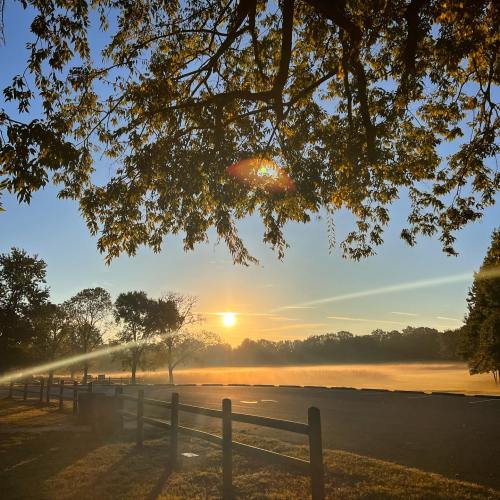 A serene sunrise over a misty landscape, framed by trees and a wooden fence. Soft light illuminates the scene.