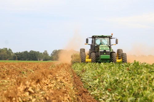 A tractor plows through a field, creating dust as it works among rows of crops under a cloudy sky.
