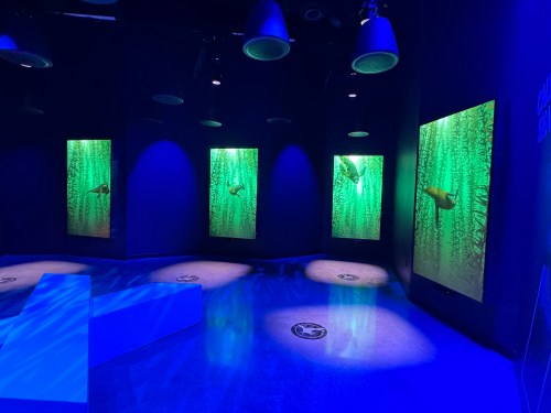 A dimly lit room with green-lit screens displaying fish swimming among aquatic plants.