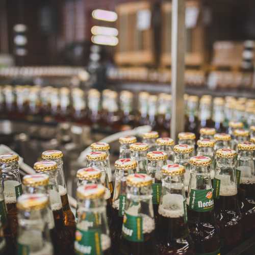 A close-up of rows of beer bottles with caps, arranged in a brewery setting.