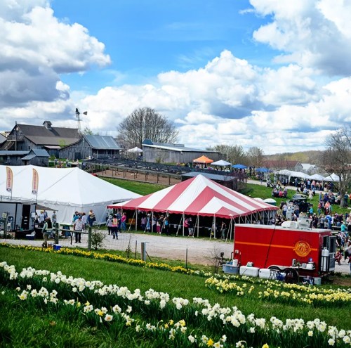 A vibrant outdoor festival scene with tents, food trucks, and crowds, set against a backdrop of blooming flowers and blue skies.