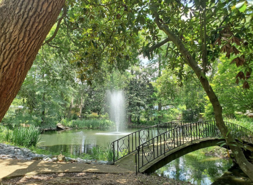 A serene park scene featuring a pond, a fountain, and a decorative bridge surrounded by lush greenery.