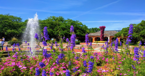 A vibrant garden with purple and pink flowers, a fountain, and a sunny blue sky in the background.