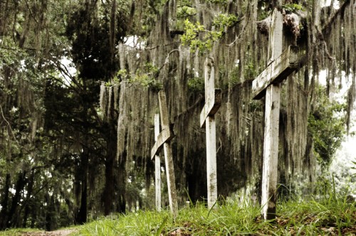 Three weathered wooden crosses stand in a grassy area, surrounded by trees draped in Spanish moss.