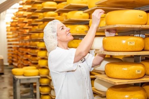 A woman in a hairnet inspects cheese wheels on wooden shelves in a cheese aging facility.