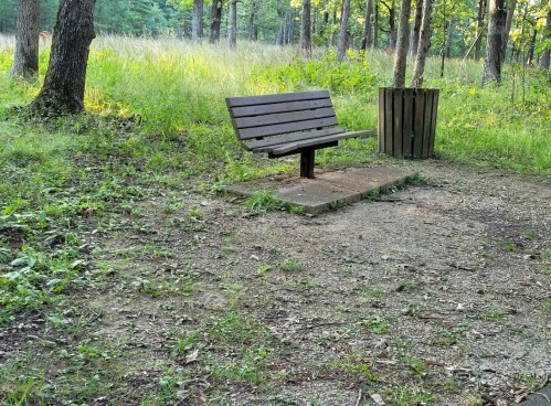 A wooden bench beside a trash can in a grassy area surrounded by trees.