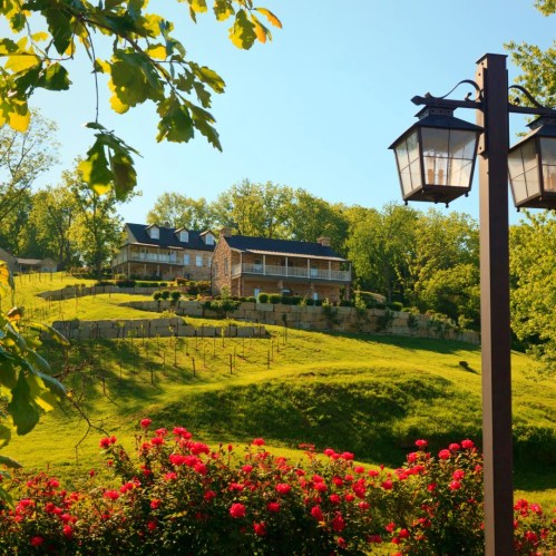 A scenic view of a hillside home surrounded by greenery and blooming roses, with a lamp post in the foreground.