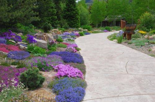 A winding path through a vibrant garden filled with colorful flowers and lush greenery.