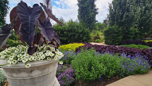 A vibrant garden featuring colorful flowers and lush greenery in decorative planters under a partly cloudy sky.