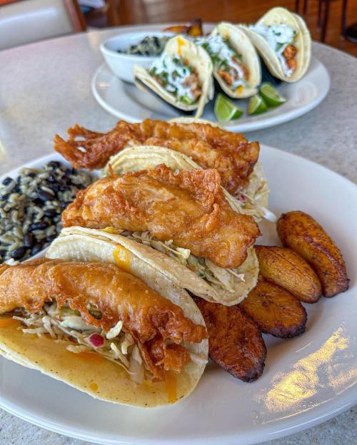 A plate of crispy fish tacos with slaw, served with fried plantains and a side of black rice.