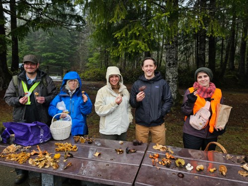 A group of five people stands by a table covered with various mushrooms, surrounded by trees in a misty forest.