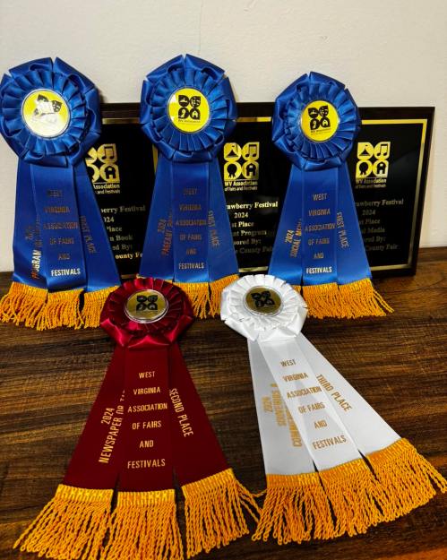A collection of award ribbons and plaques from the West Virginia Association of Fairs and Festivals, showcasing various placements.