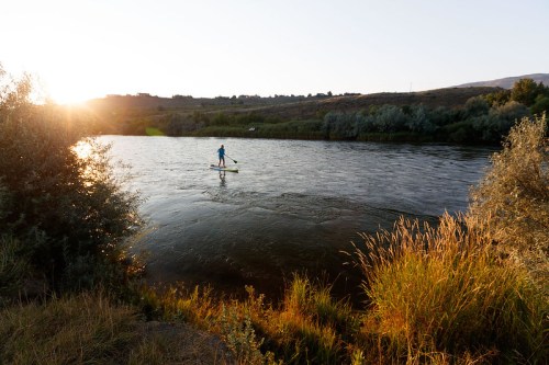A person paddleboarding on a calm river at sunset, surrounded by lush greenery and golden grasses.