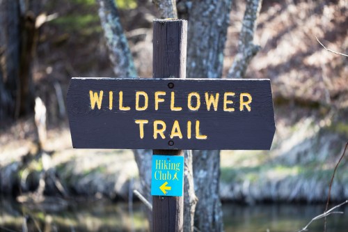 A wooden signpost reading "WILDFLOWER TRAIL" with a blue arrow pointing left for a hiking club.