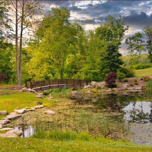 A serene landscape featuring a pond, lush greenery, a wooden bridge, and a cloudy sky.