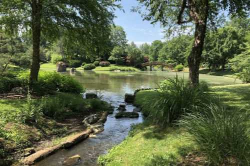 A serene park scene featuring a calm pond, lush greenery, and a small bridge in the background under a clear blue sky.