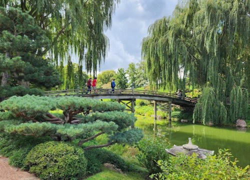 A serene garden scene featuring a wooden bridge, lush greenery, and people walking amidst willow trees and a pond.