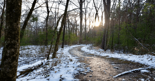 A winding path through a snowy forest, with trees and a soft glow of sunlight in the background.