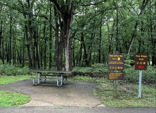 A picnic area with a table near a trail sign in a wooded park setting.