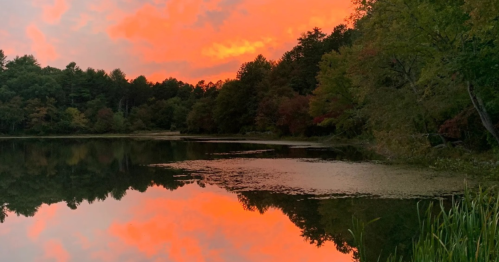 A serene lake at sunset, reflecting vibrant orange and pink skies, surrounded by lush green trees.