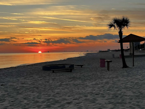 A serene beach at sunset, with a palm tree, benches, and a colorful sky reflecting on calm waters.