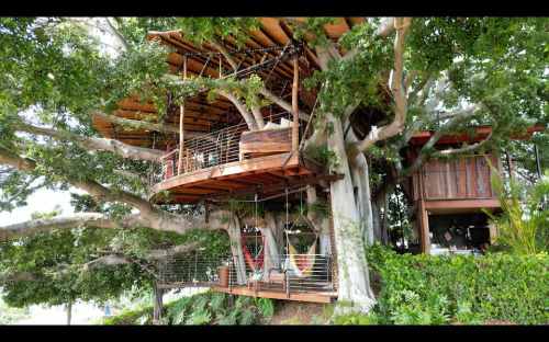 A modern treehouse with wooden decks and swings, nestled among large green trees.