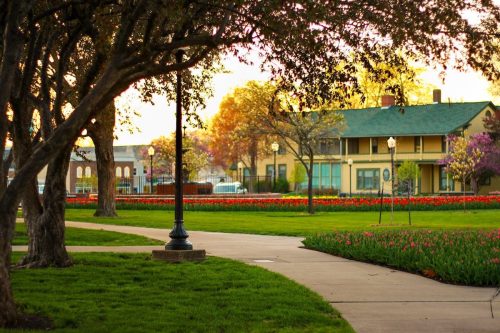 A peaceful park scene with blooming flowers, trees, and a pathway leading to charming buildings in the background.
