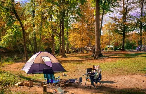 A campsite with a tent, chairs, and a fire pit surrounded by colorful autumn trees.