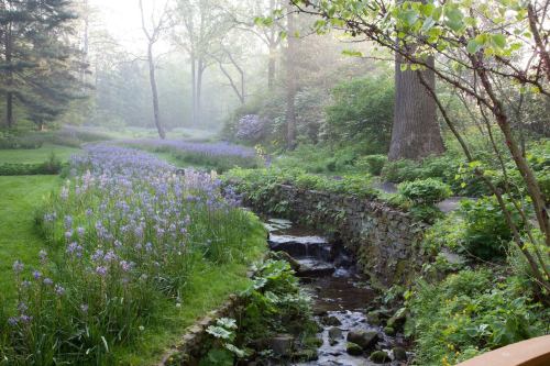 A serene garden scene with a stream flowing through lush greenery and blooming purple flowers under soft morning light.