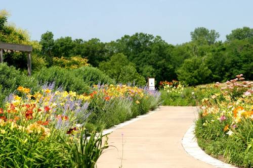 A winding path through a vibrant flower garden, lined with colorful blooms and lush greenery under a clear blue sky.