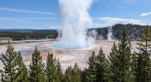 A geyser erupts in Yellowstone National Park, surrounded by colorful mineral deposits and lush green trees.