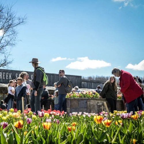 A vibrant flower garden with people enjoying the day, under a blue sky with fluffy clouds.