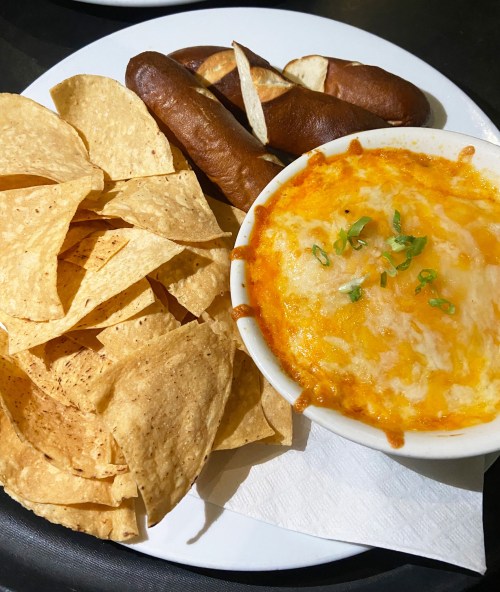 A plate with tortilla chips, pretzel sticks, and a bowl of cheesy dip topped with green onions.