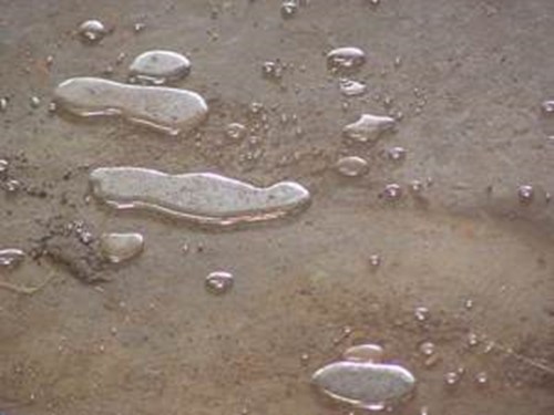 Close-up of water droplets on a textured surface, reflecting light and creating a shimmering effect.