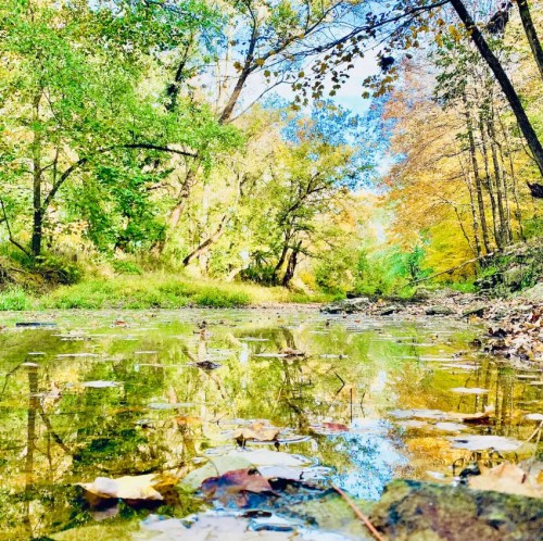A serene river scene with colorful autumn foliage reflecting in the water, surrounded by lush green trees.