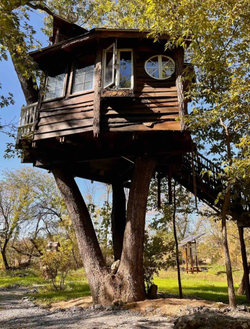 A rustic treehouse perched between two large trees, featuring a balcony and multiple windows, surrounded by greenery.