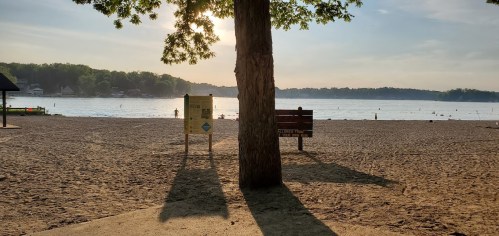 A serene beach scene at sunset, featuring a tree, sandy shore, and calm water with people swimming in the distance.