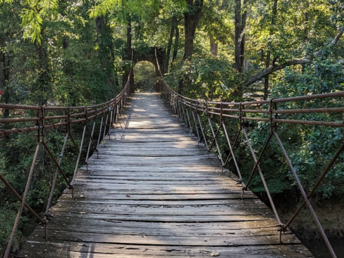 A wooden suspension bridge surrounded by lush green trees in a serene forest setting.