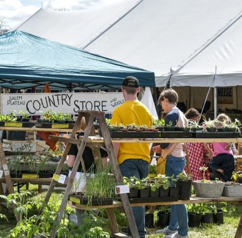 A market scene with people browsing plants and goods under a tent, featuring a sign for "Country Store."