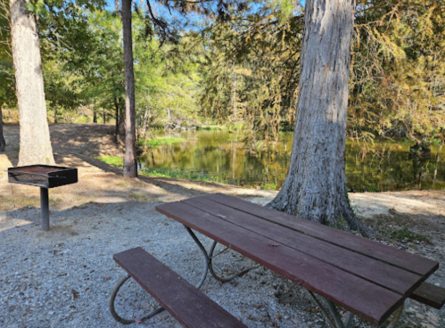 A picnic table and grill by a serene pond, surrounded by trees and greenery.