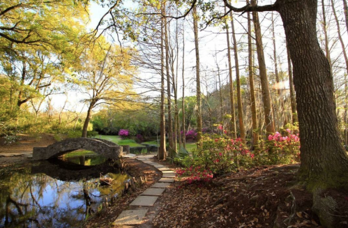 A serene landscape featuring a stone bridge over a pond, surrounded by trees and blooming flowers in a tranquil setting.