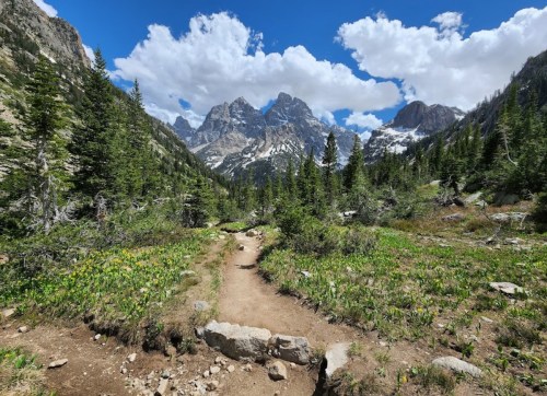 A scenic mountain trail surrounded by lush greenery and towering peaks under a blue sky with fluffy clouds.