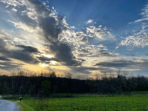 A scenic view of a sunset with dramatic clouds over a green field and tree line, along a gravel road.